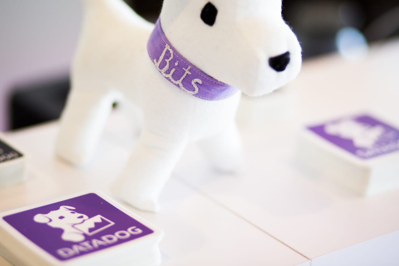 Titolo Datadog in calo dopo i risultati trimestrali