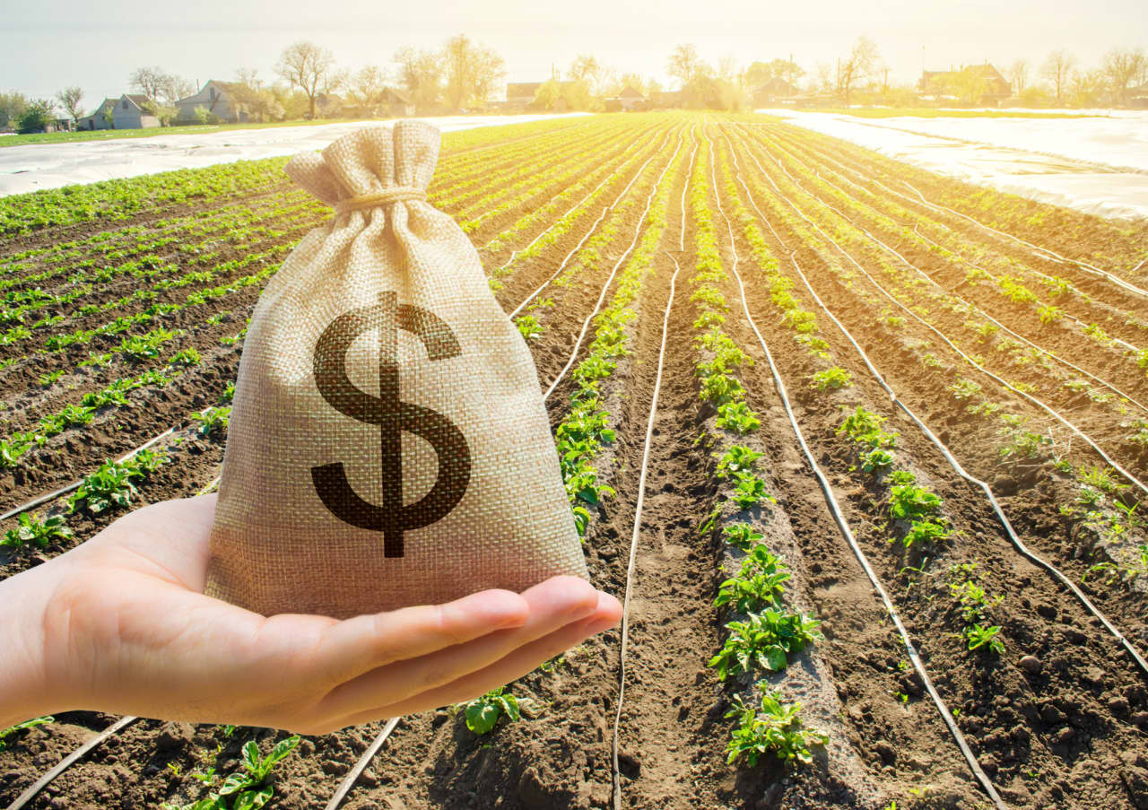 Gli agricoltori sono già pronti a ricevere 55 miliardi di dollari: perché Washington vuole dare loro ancora di più?